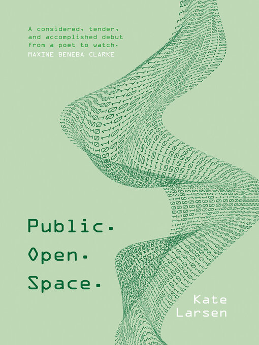 Title details for Public. Open. Space by Kate Larsen - Available